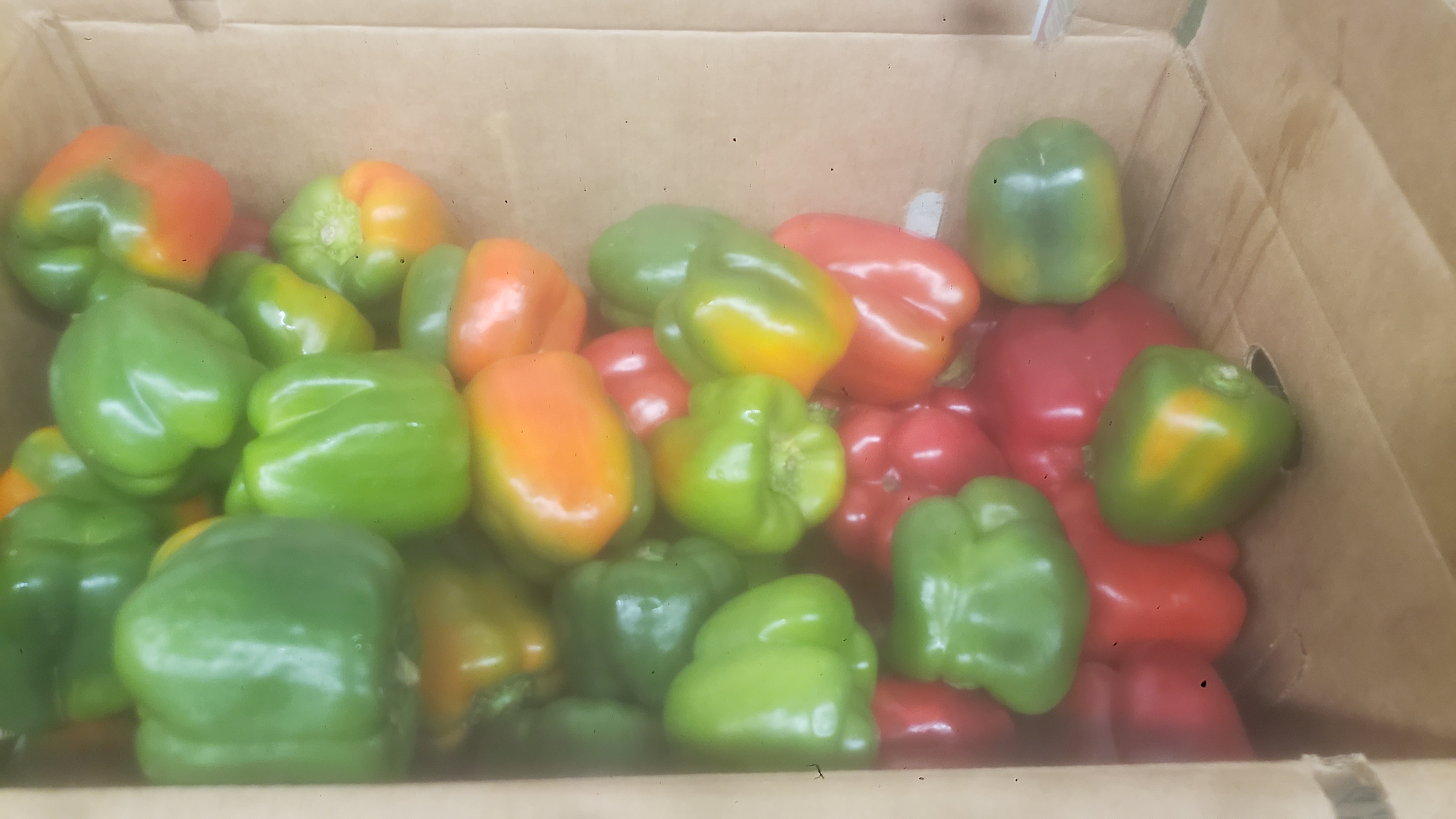 Cardboard box of bell peppers.